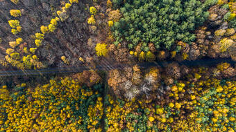 A CTP 460 hektár erdőt vásárolt a csehországi Zlín közelében, ezzel aktívan hozzájárul az erdők biológiai sokféleségének helyreállításához